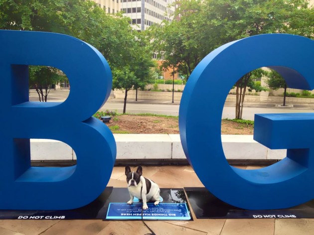 #dallasbig #montybig