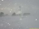 Blizzard