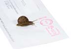 Snail Mail
