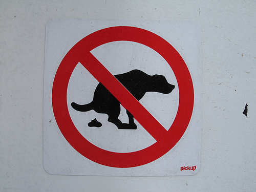 Dog Shit