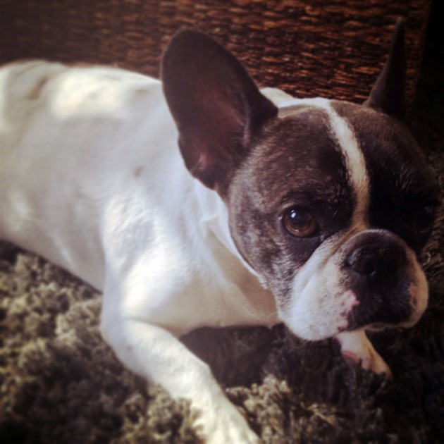 Monty - 08 Feb 2013