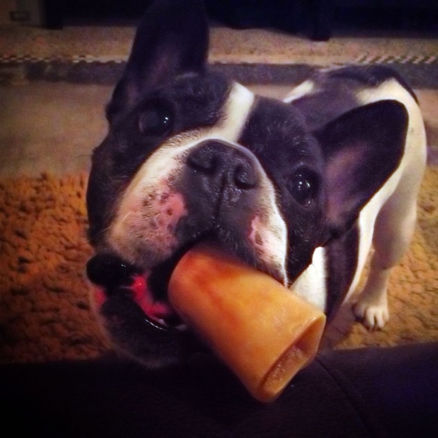 Monty - March 2013