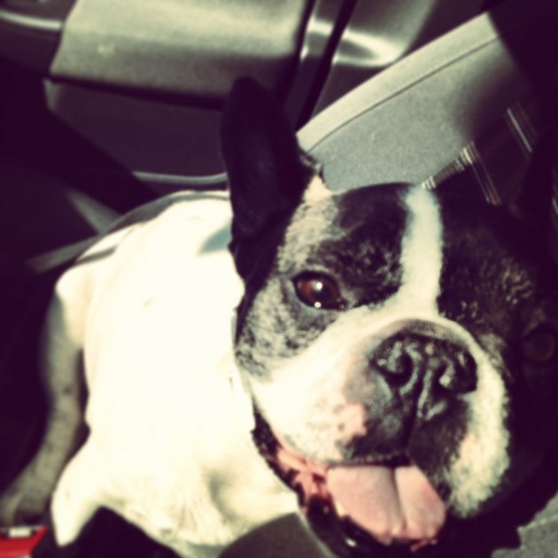 Monty - April 5 2013